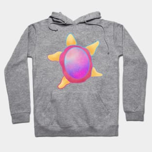 Pride Flag Space Turtle Pansexual Flag Hoodie